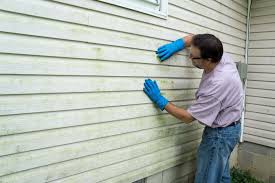 Affordable Siding Repair and Maintenance Services in Akron, NY